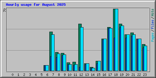 Hourly usage for August 2025
