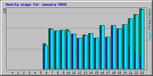 Hourly usage for January 2026